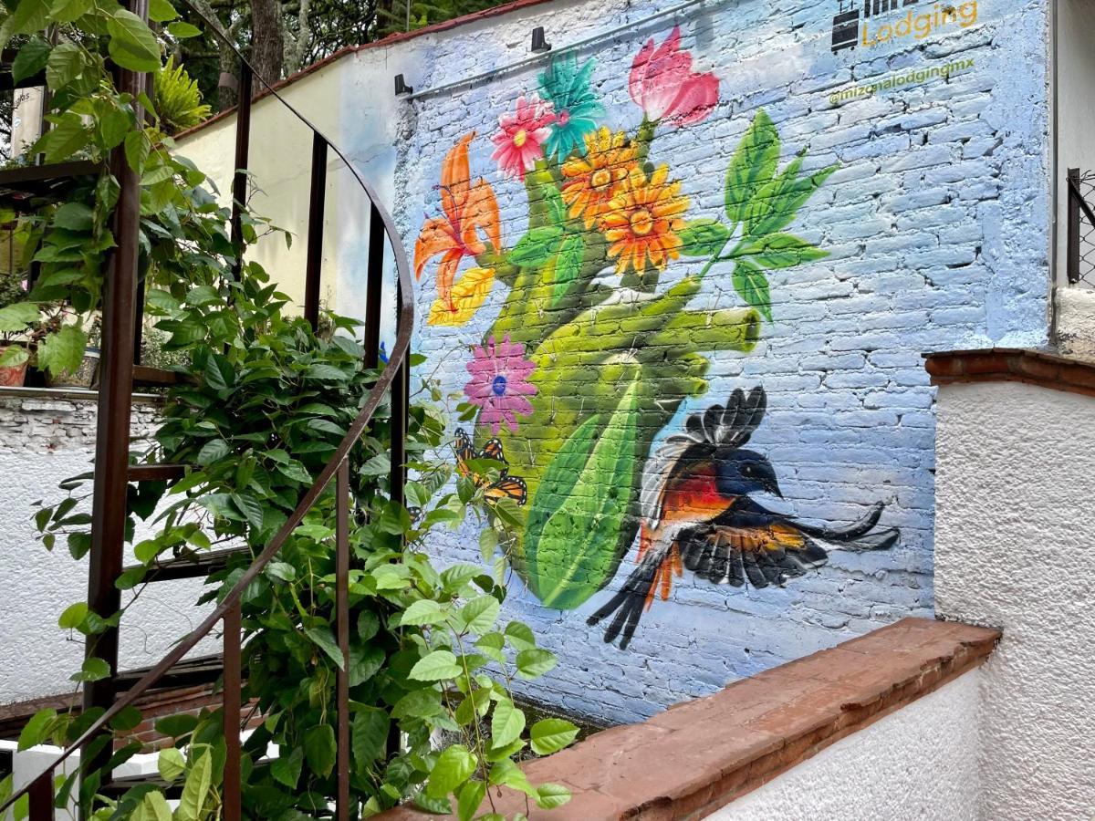 Mi Zona Lodging Coyoacan Kota Meksiko Bagian luar foto